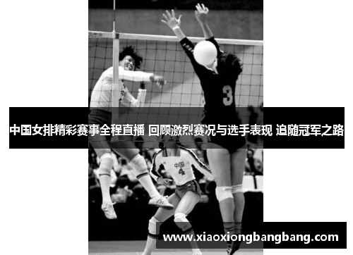 中国女排精彩赛事全程直播 回顾激烈赛况与选手表现 追随冠军之路