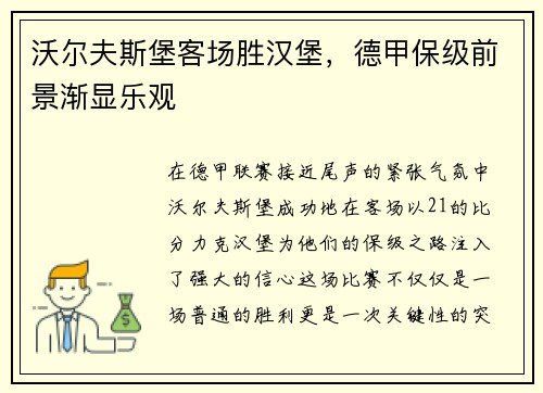 沃尔夫斯堡客场胜汉堡，德甲保级前景渐显乐观